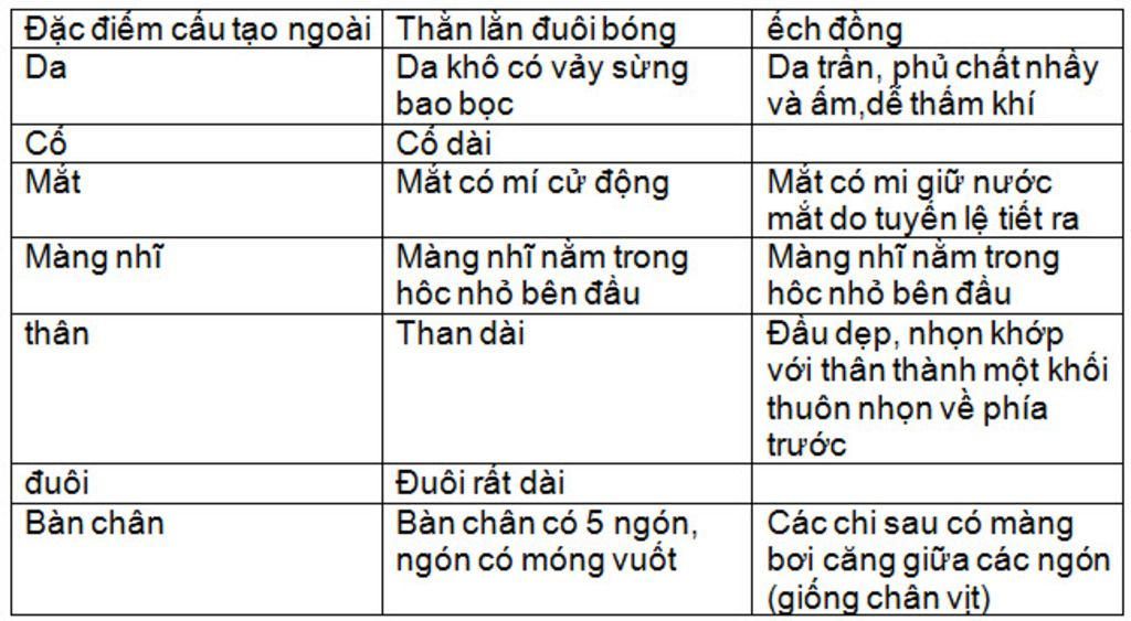 hay-lap-bang-so-sanh-dac-diem-tap-tinh-va-sinh-san-cua-ech-va-than-lan