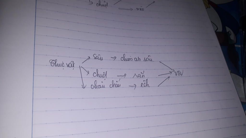 hay-lap-hay-lap-bon-chuoi-thuc-an-khac-nhau-tu-cac-loai-sinh-vat-sau-thuc-vat-sau-vi-sinh-vat-ra