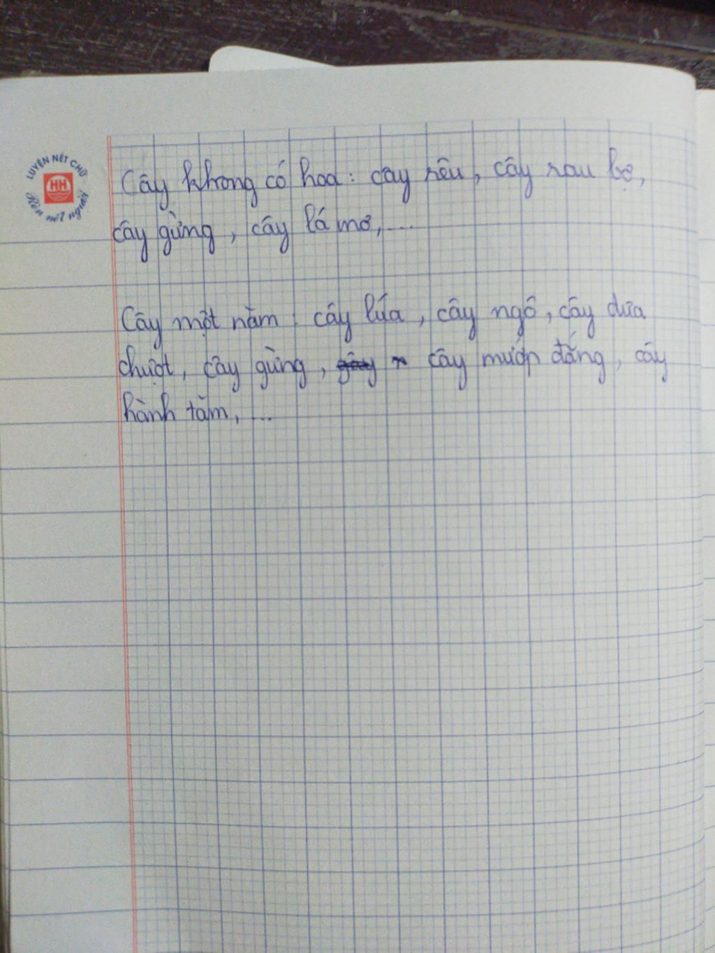 hay-liet-ke-giup-minh-cac-loai-cay-khong-co-hoa-cac-loai-cay-mot-nam