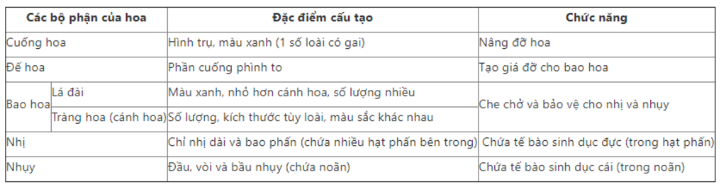 hay-neu-cac-bo-phan-va-chuc-nang-cua-hoa