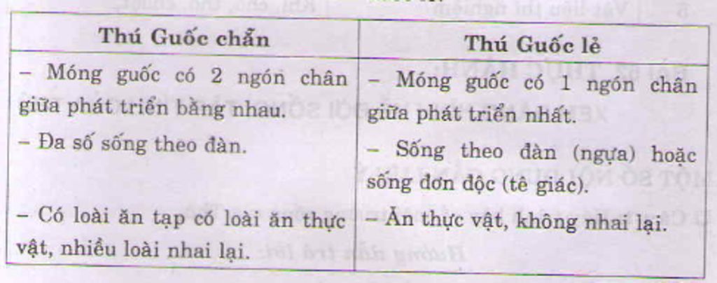 hay-neu-dac-diem-cua-thu-mong-guoc-phan-biet-thu-mong-guoc-chan-va-thu-mong-guoc-le-cho-vi-du