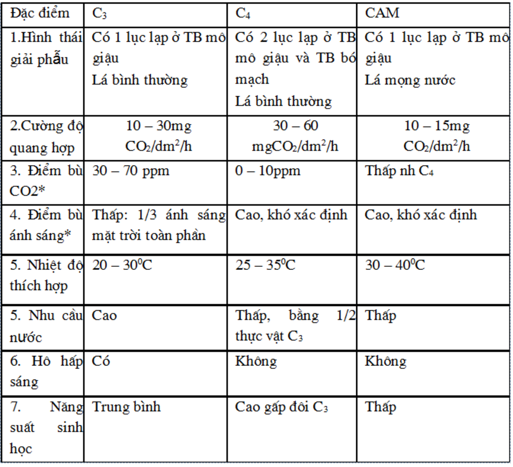 hay-neu-dieu-kien-song-cuong-do-quang-hop-ho-hap-sang-cua-thuc-vat-c3-thuc-vat-c4-thuc-vat-cam