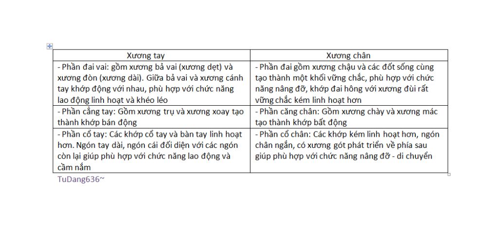 hay-neu-su-khac-nhau-giua-cau-tao-cua-uong-tay-va-uong-chan