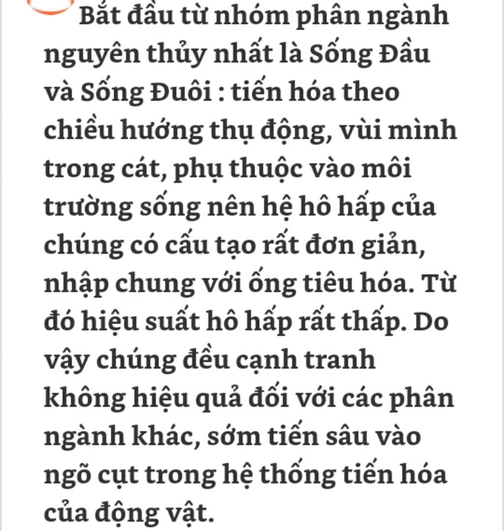 hay-neu-su-tien-hoa-tu-lo-thu-den-lop-ca-mn-giup-minh-voi-mai-minh-kiem-tra-roi-neu-duoc-minh-se