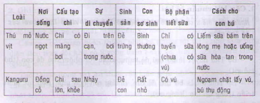 hay-so-sanh-dac-diem-ve-cau-tao-chi-su-di-chuyen-sinh-san-va-con-so-sinh-cua-thu-mo-vit-va-kangu