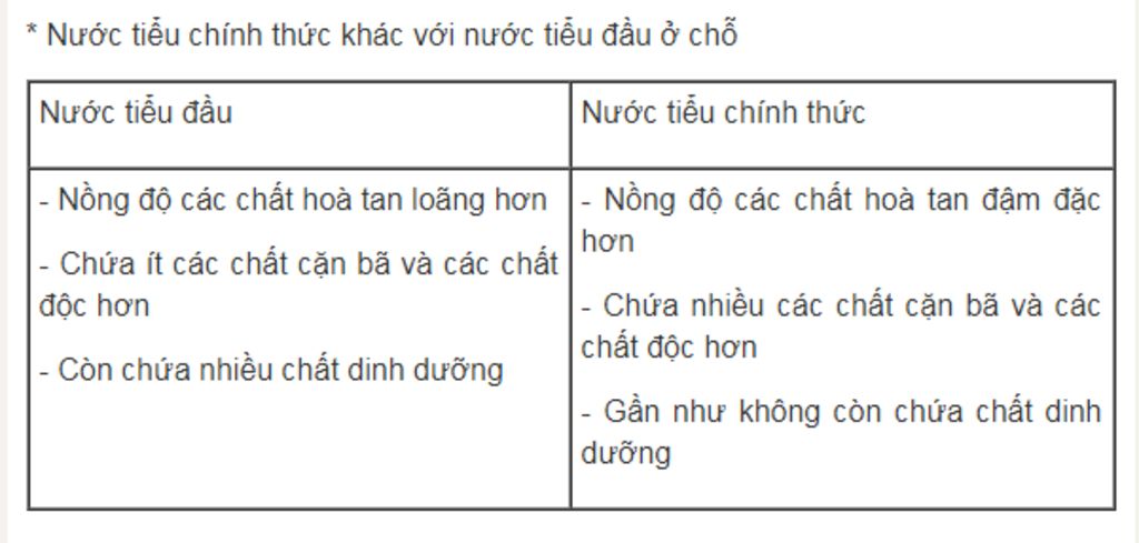 hay-so-sanh-nuoc-tieu-dau-va-nuoc-tieu-chinh-thuc