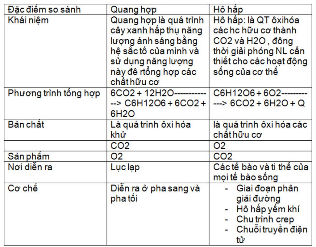 hay-so-sanh-su-giong-nhau-va-khac-nhau-cua-quang-hop-va-ho-hap-roi-rut-ra-ket-luan-cam-on-hua-vo