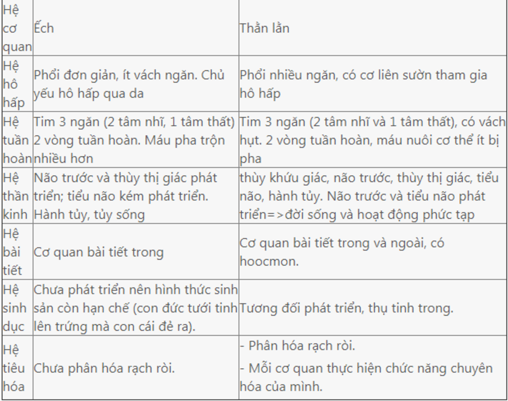 hay-so-sanh-su-tien-hoa-cac-he-co-quan-cua-than-lan-voi-ech-dong-bo-uong-he-tuan-hoan-he-ho-hap
