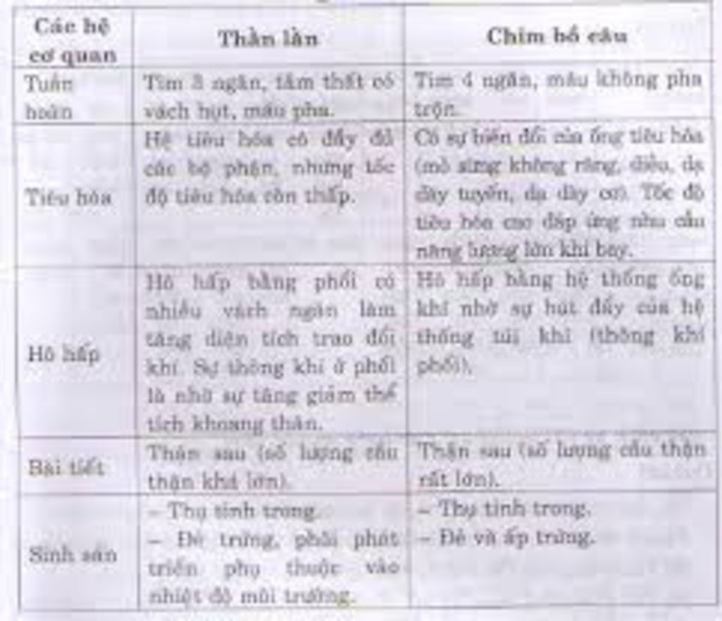 hay-so-sanh-va-tim-ra-diem-khac-nhau-ve-cau-tao-cua-he-tieu-hoa-he-ho-hap-he-tuan-hoan-he-bai-ti