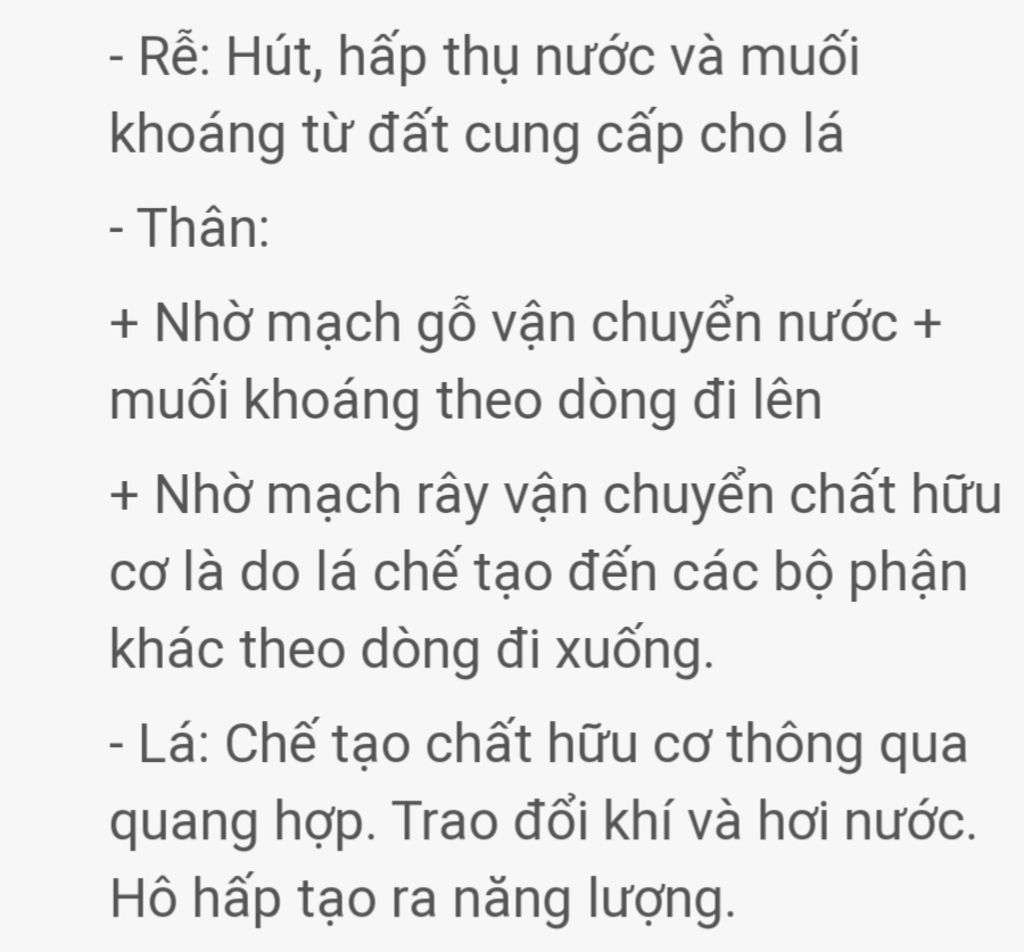 hay-so-sanh-vau-tao-chuc-nang-cua-re-than-la-hoa-phu-hop-voi-chuc-phan-lay-vi-du-minh-hoa-cho-tu