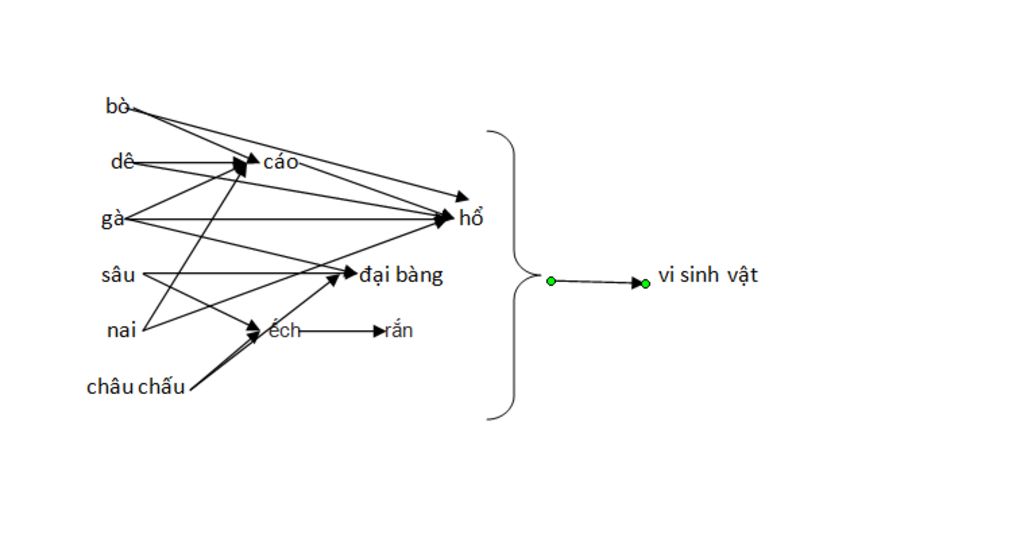 hay-thanh-lap-1-luoi-thuc-an-gom-cac-sinh-vat-sau-ga-de-bo-cao-sau-ech-ran-dai-bang-nai-ho-vi-kh