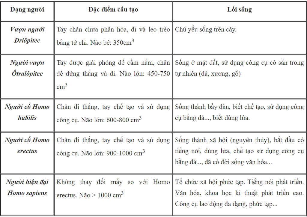 hay-ve-bang-va-neu-cac-dac-diem-sai-khac-giua-vuon-nguoi-nguoi-vuon-hoa-thach-otralopitec-nguoi