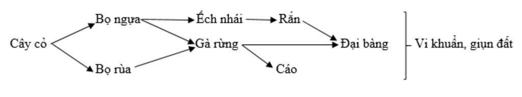 hay-ve-mot-luoi-thuc-an-co-cac-sinh-vat-sau-cay-co-bo-rua-ech-nhai-ran-bo-ngua-dai-bang-giun-dat