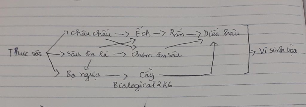 hay-ve-mot-luoi-thuc-an-trong-do-co-it-nhat-5-mat-ich-chung-va-ac-dinh-bac-tieu-thu-trong-luoi-t