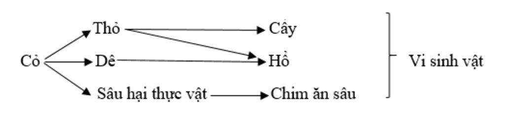 hay-ve-mot-luoi-thuc-an-voi-cac-sinh-vat-co-the-co-o-dong-ruong-vuon-nha-vuon-truong-go-doi-que