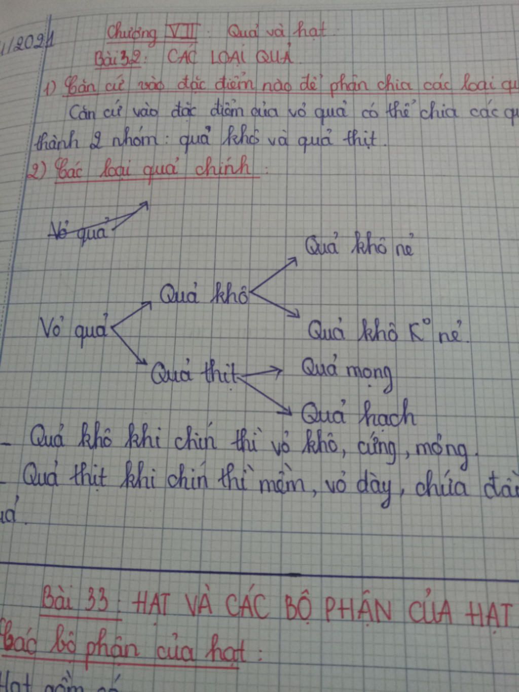 Hãy vẽ sơ đồ tư duy về chủ đề quả và hạt chi tiết nhất Cần gấp hay-ve-so-do-tu-duy-ve-chu-de-qua-va-hat-chi-tiet-nhat-can-gap