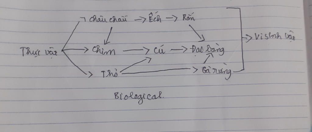 hay-viet-3-chuoi-thuc-an-va-luoi-thuc-an-hoan-chinh-co-mat-ich-chung-la-tho-can-gap-mai-thi-roi