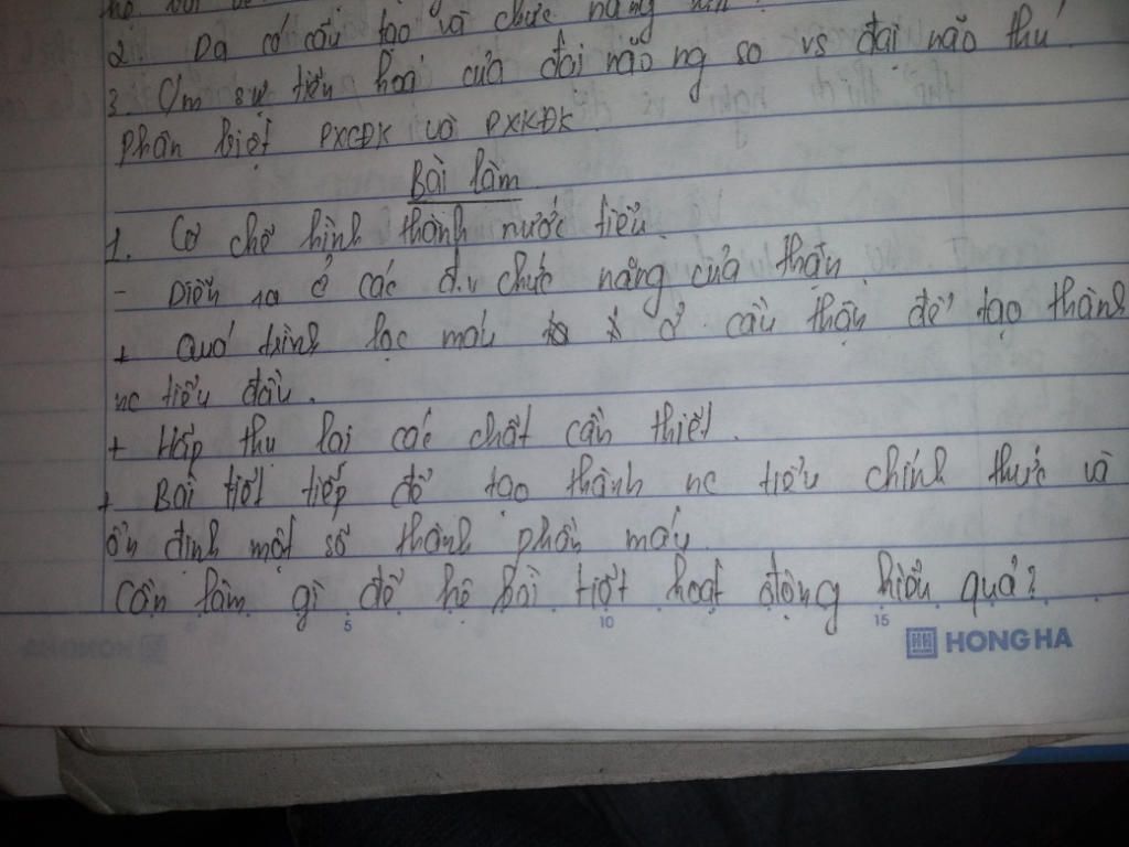 he-bai-tiet-nuoc-tieu-gom-nhung-co-quan-nao-su-tao-thanh-nuoc-tieu-dien-ra-o-dau