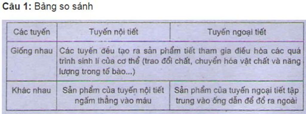 he-noi-tiet-co-dac-diem-gi-phan-biet-tuyen-noi-tiet-va-ngoai-tiet-hoocmoon-co-tinh-chat-vai-tro