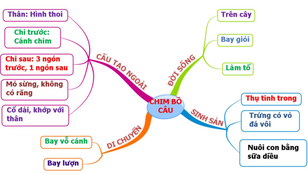 he-thong-hoa-kien-thuc-duoi-dang-so-do-tu-duy-cua-cac-phan-sau-lop-chim-lop-thu-su-tien-hoa-cua