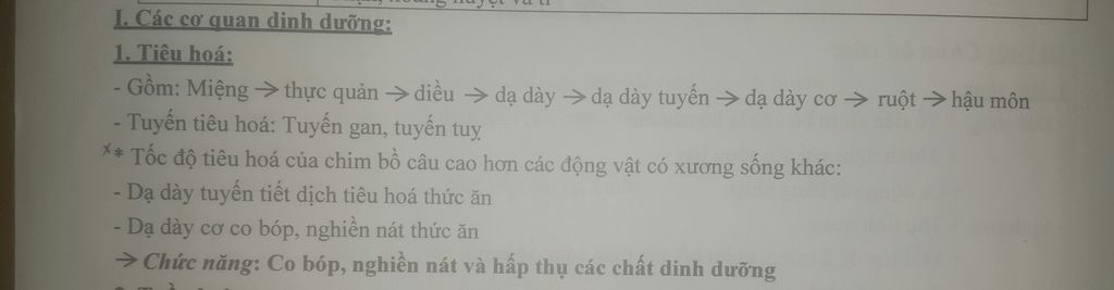 he-tieu-hoa-cua-chim-hoan-thien-hon-so-voi-bo-sat-o-nhung-diem-nao-vi-sao-toc-do-tieu-hoa-cua-ch