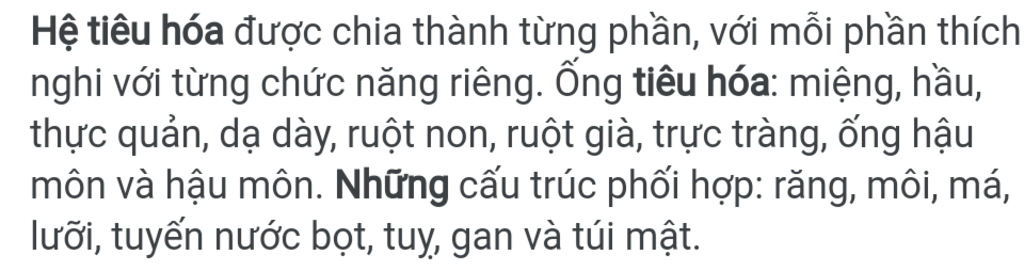 he-tieu-hoa-gom-nhung-bo-phan-nao-vai-tro-cua-he-tieu-hoa