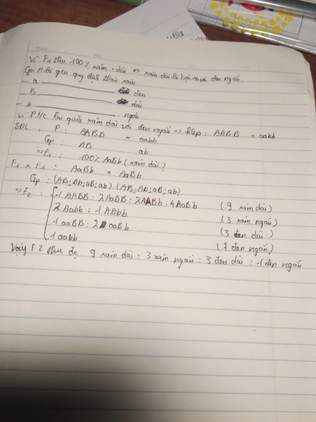help-me-cho-p-thuan-chung-lai-am-dai-lai-voi-den-ngan-f1-thu-dc-toan-am-dai-cho-f1-giao-phoi-voi