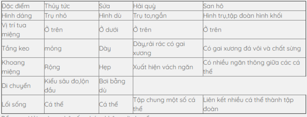 hinh-dang-ngoai-va-di-chuyen-sinh-san-cua-thuy-tuc-sua-hai-quy-san-ho-mn-giup-mik-vs-a-mik-cam-o