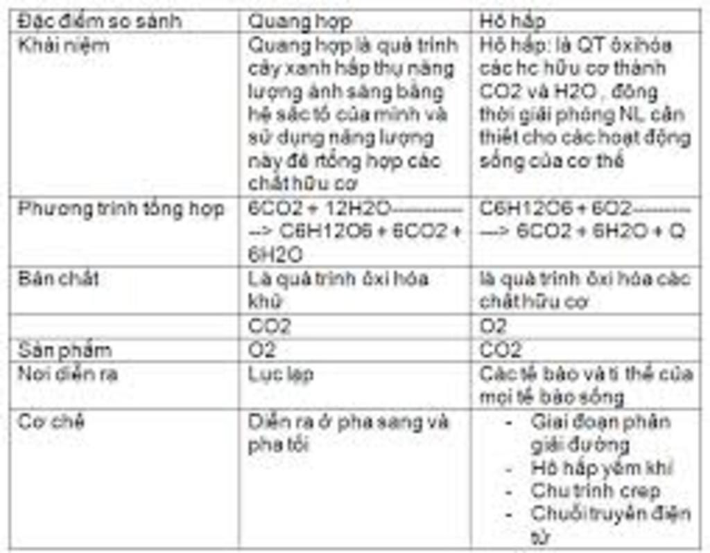 ho-hap-va-quang-hop-co-nhung-diem-giong-va-khac-nhau-nhu-the-nao