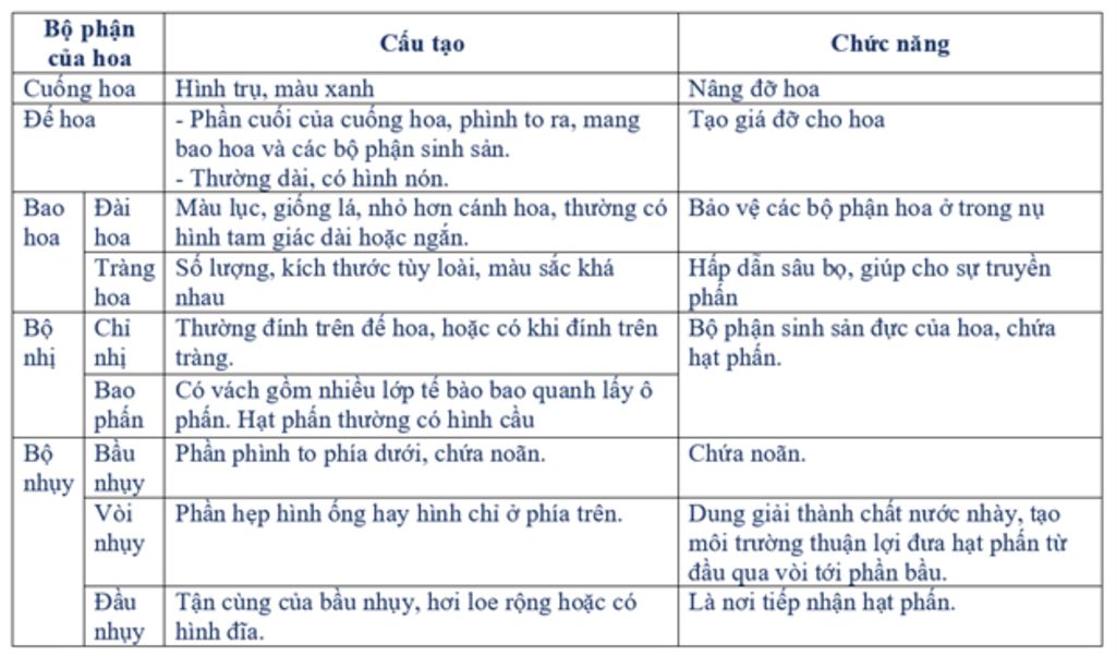 hoa-co-chuc-nang-gi-doi-voi-loai-thuc-vat-co-hoa