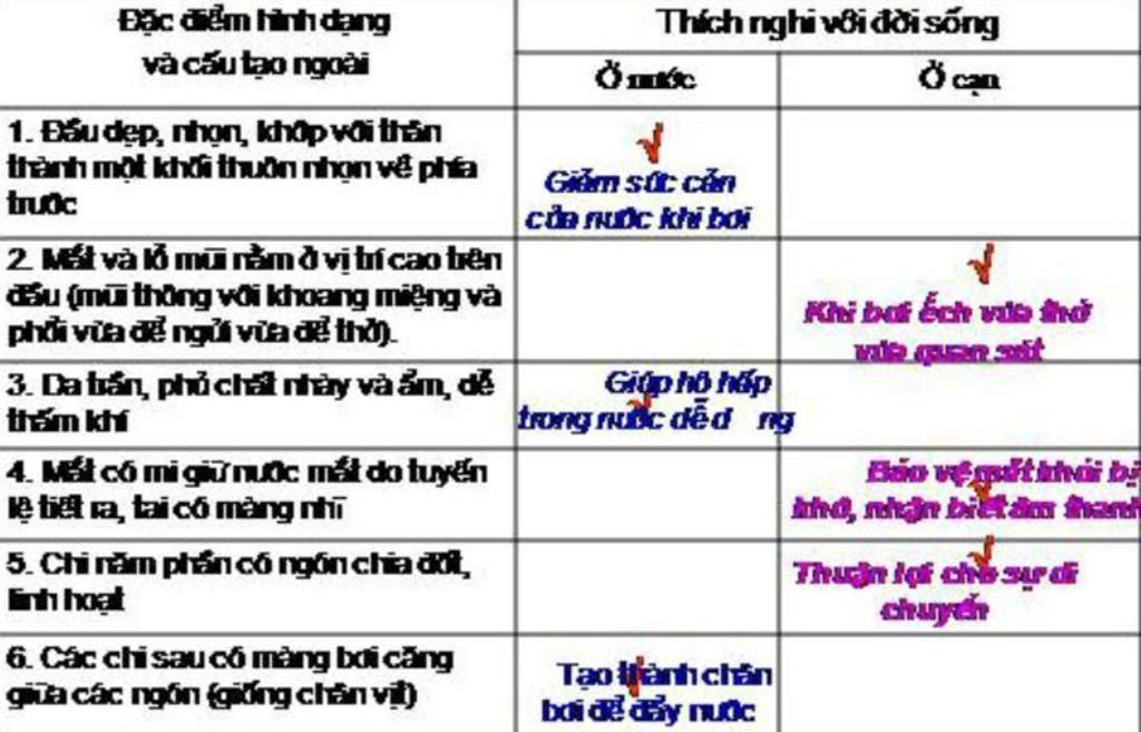 hom-nay-ngay-30-4-la-ngay-giai-phong-mien-nam-me-minh-di-cho-mua-may-con-ca-ro-tha-vao-be-nuoc-n