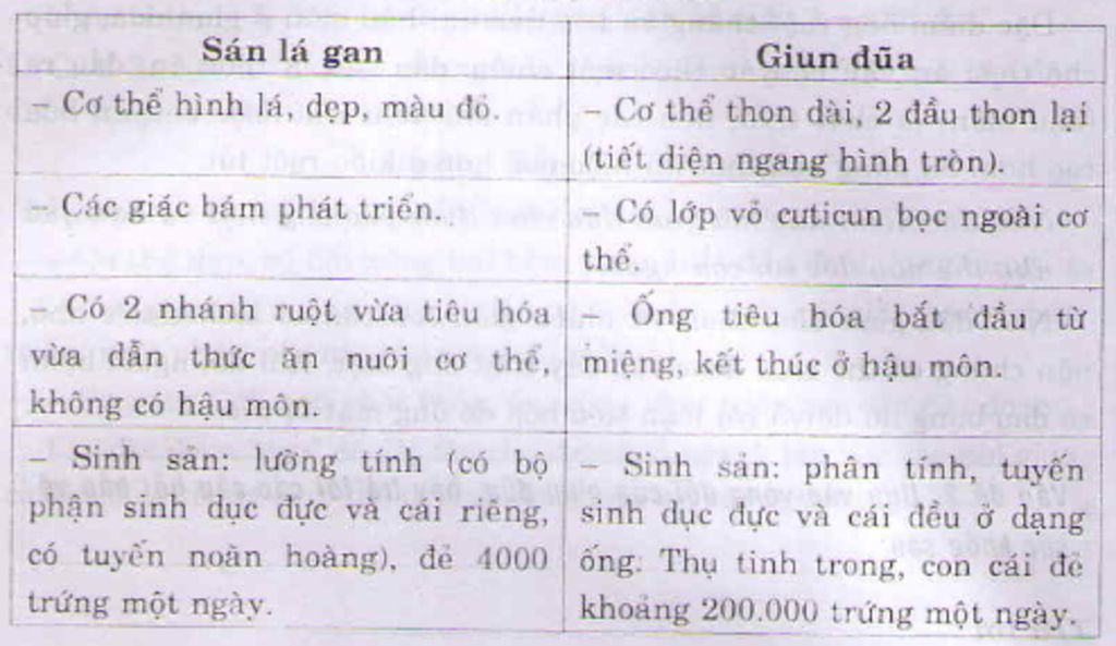 iii-nganh-giun-1-neu-tac-hai-cua-giun-san-ki-sinh-bien-phap-phong-chong-giun-san-ki-sinh-2-dac-d