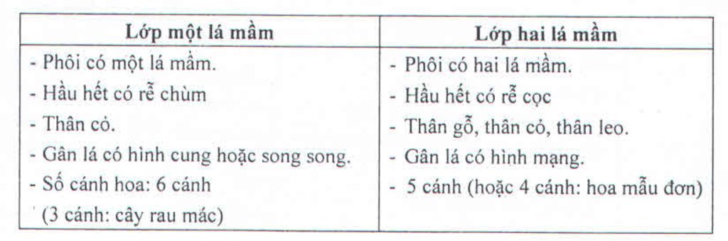 jup-mi-phan-nay-voi-mik-can-gap-cac-ban-nhe-cau-1-de-phan-biet-lop-mot-la-mam-va-lop-hai-la-mam