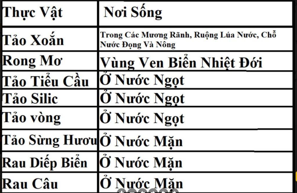 ke-bang-so-sanh-cac-loai-thuc-vat-bao-gom-cac-thuc-vat-nhu-tao-vong-rau-diep-bien-rau-cau-tao-su