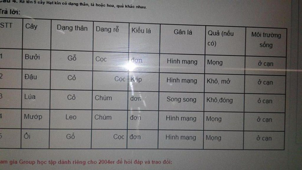 ke-ten-5-cay-hat-kin-co-dang-than-loai-hoa-don-tinh-hay-luong-tinh-gan-la-song-song-hinh-mang-hi