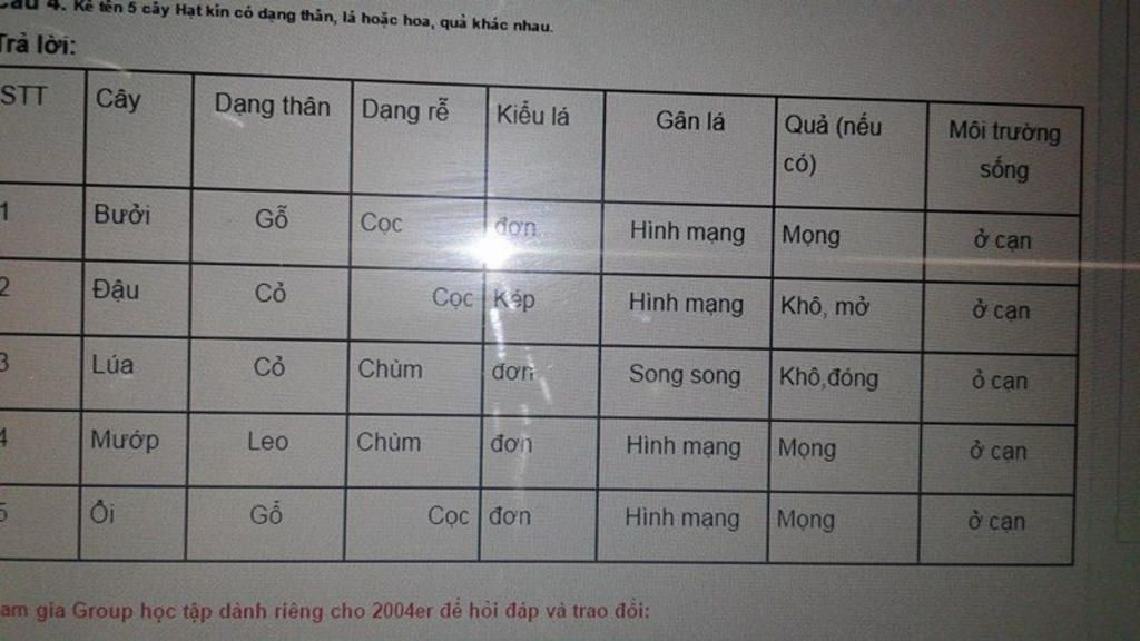 ke-ten-5-loai-hat-kin-co-dang-than-la-hoac-hoa-qua-khac-nhau-ai-dung-se-co-ctldn-nhe-m-n-3