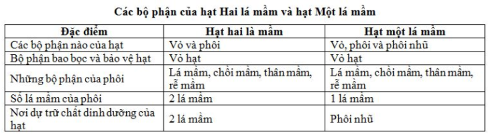 ke-ten-cac-bo-phan-cua-hat-2-la-mam-va-hat-1la-mam