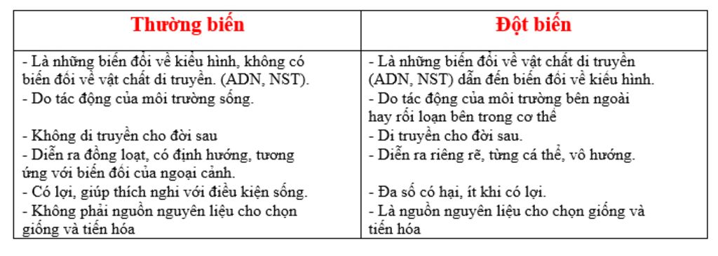 ke-ten-cac-dang-dot-bien-cau-truc-nst-hay-phan-biet-thuong-bien-va-dot-bien