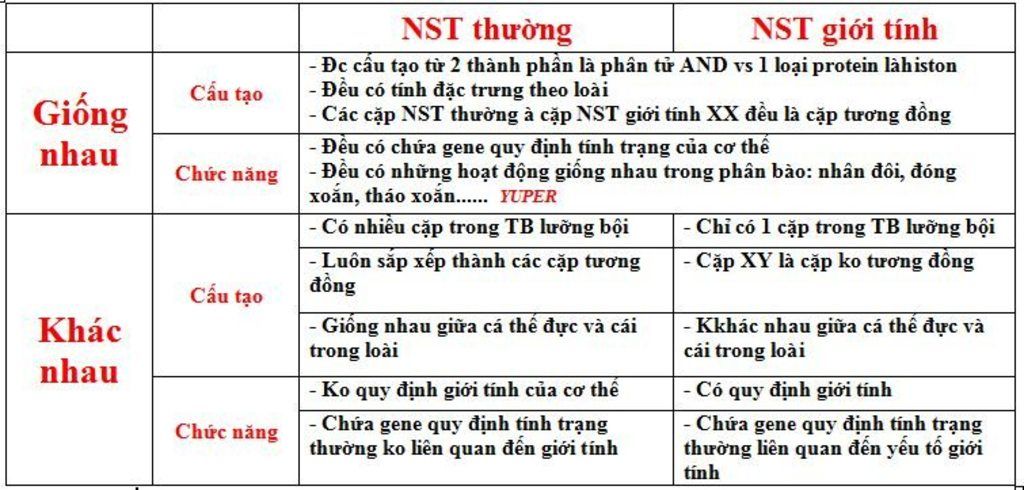 ket-qua-cua-su-phat-sinh-giao-tu-so-sanh-nhiem-sac-the-thuong-va-nhiem-sac-the-gioi-tinh-giup-mi