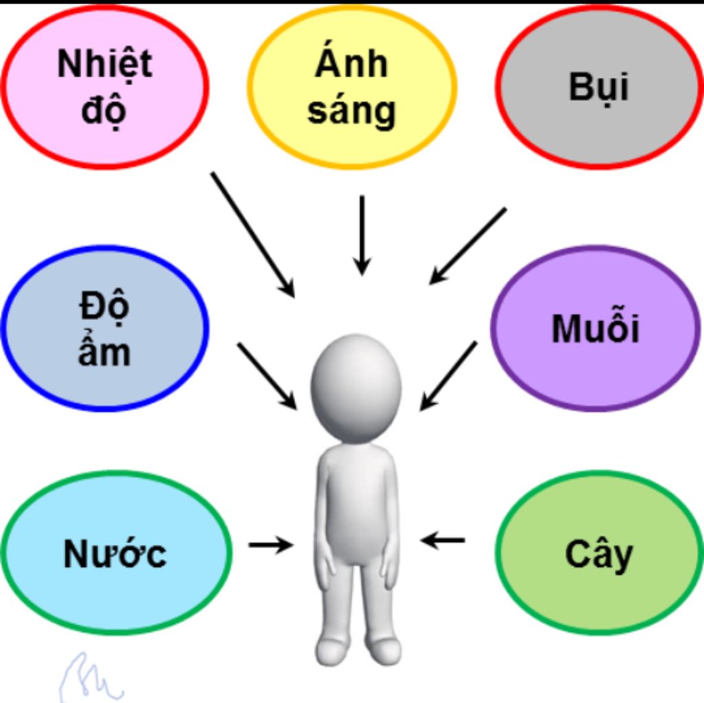 khai-niem-nhan-to-sinh-thai-ke-ten-cac-nhom-nhan-to-sinh-thai-lay-vi-du-minh-se-vote-5-sao