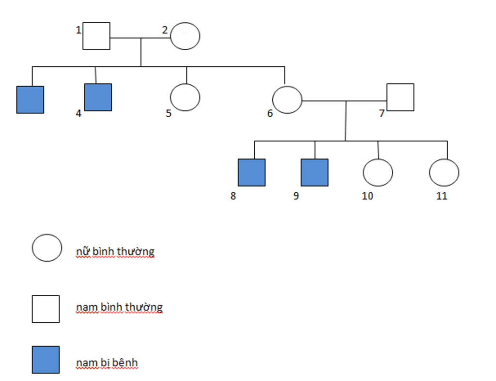 khi-et-benh-mau-kho-dong-o-nguoi-nguoi-ta-thay-trong-1-gia-dinh-bo-me-khong-mac-benh-nhung-khi-s