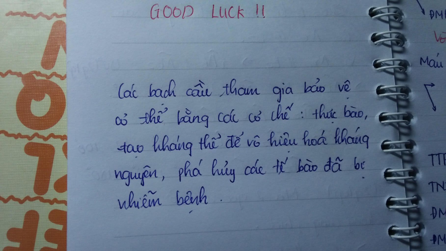 khi-vi-khuan-am-nhap-vao-co-the-cac-bach-cau-da-tham-gia-bao-ve-co-the-ntn-ngan-thoi