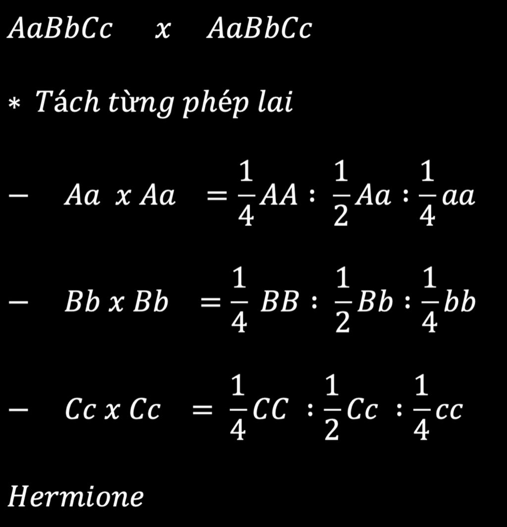 lai-aabbcc-aabbcc-hay-viet-27-loai-kieu-gen