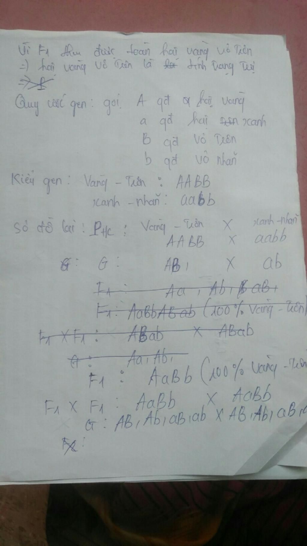 lai-hai-giong-dau-hat-vang-vo-tron-va-hat-anh-vo-nhan-voi-nhau-f1-thu-duoc-toan-cay-hat-vang-vo