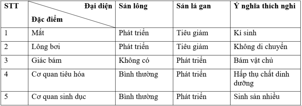 lam-bang-dac-diem-cau-tao-cua-san-long-san-la-gan-mon-sinh-hoc-7-bai-11-san-la-gan