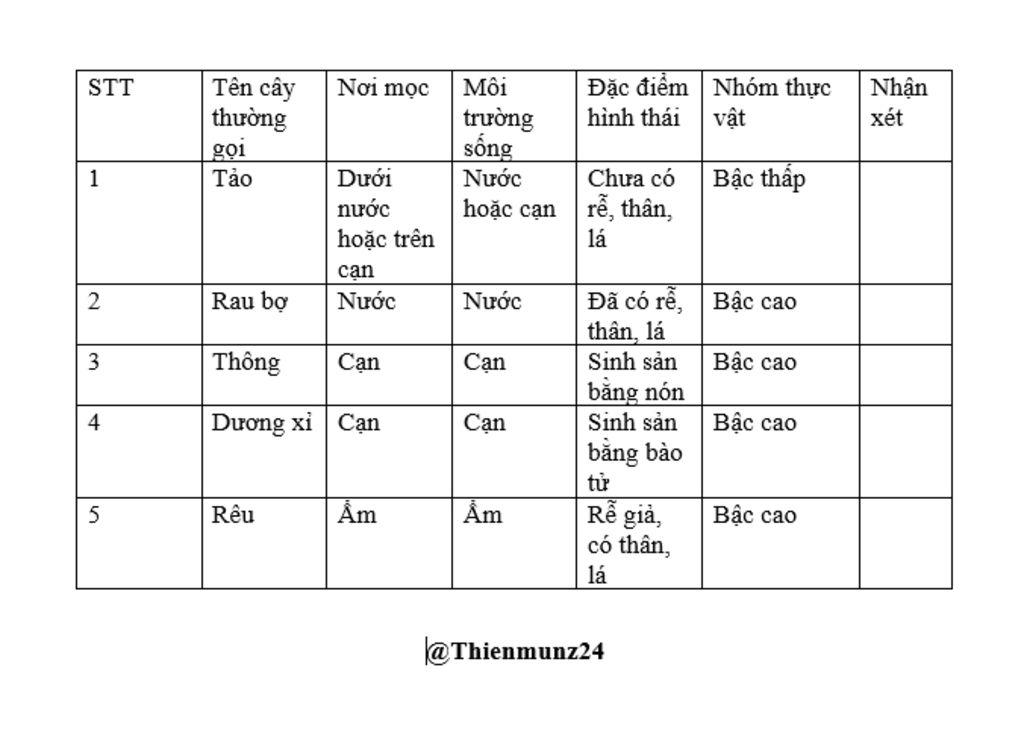 lam-bang-sgk-trang-173-sinh-6-cay-nao-cung-dc-lam-bang-chi-tiet