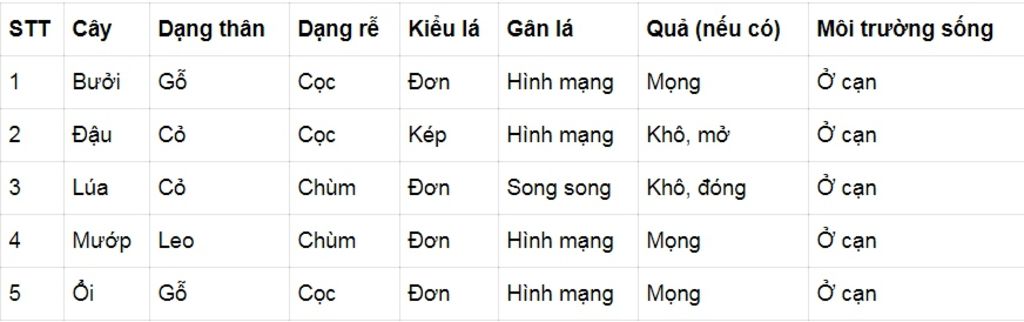 lam-ho-mik-bai-ney-vs-1-dat-diem-chung-cua-thuc-vat-hat-kin-2-giua-cay-hat-tran-va-cay-hat-kin-c