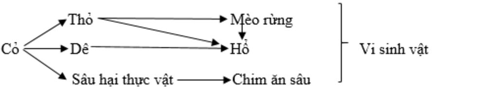 lap-1-luoi-thuc-an-gom-4-chuoi-thuc-an-tai-1-quan-a