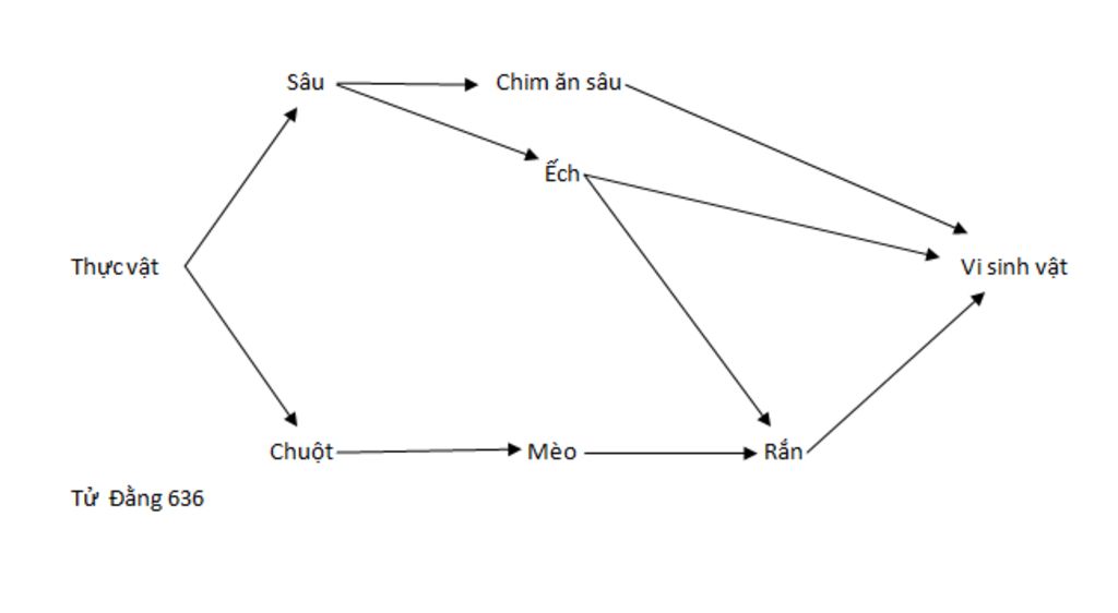 lap-1-luoi-thuc-an-gom-thuc-vat-sau-chuot-chim-an-sau-ech-ran-meo-vi-sinh-vat