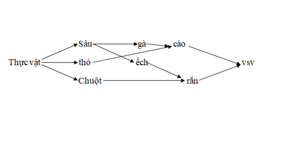 lap-1-luoi-thuc-an-gom-thuc-vat-sau-tho-chuot-ga-ech-cao-ran-vi-sinh-vat